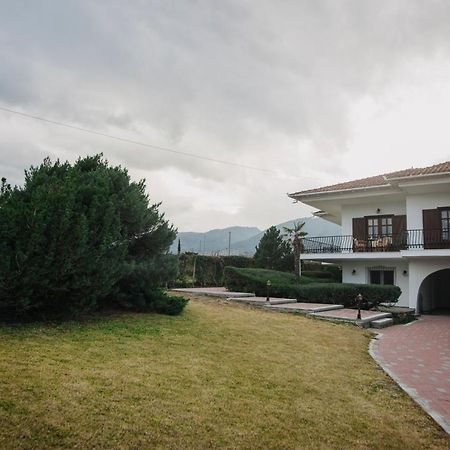 Mythic House Villa Leptokarya  Exterior photo